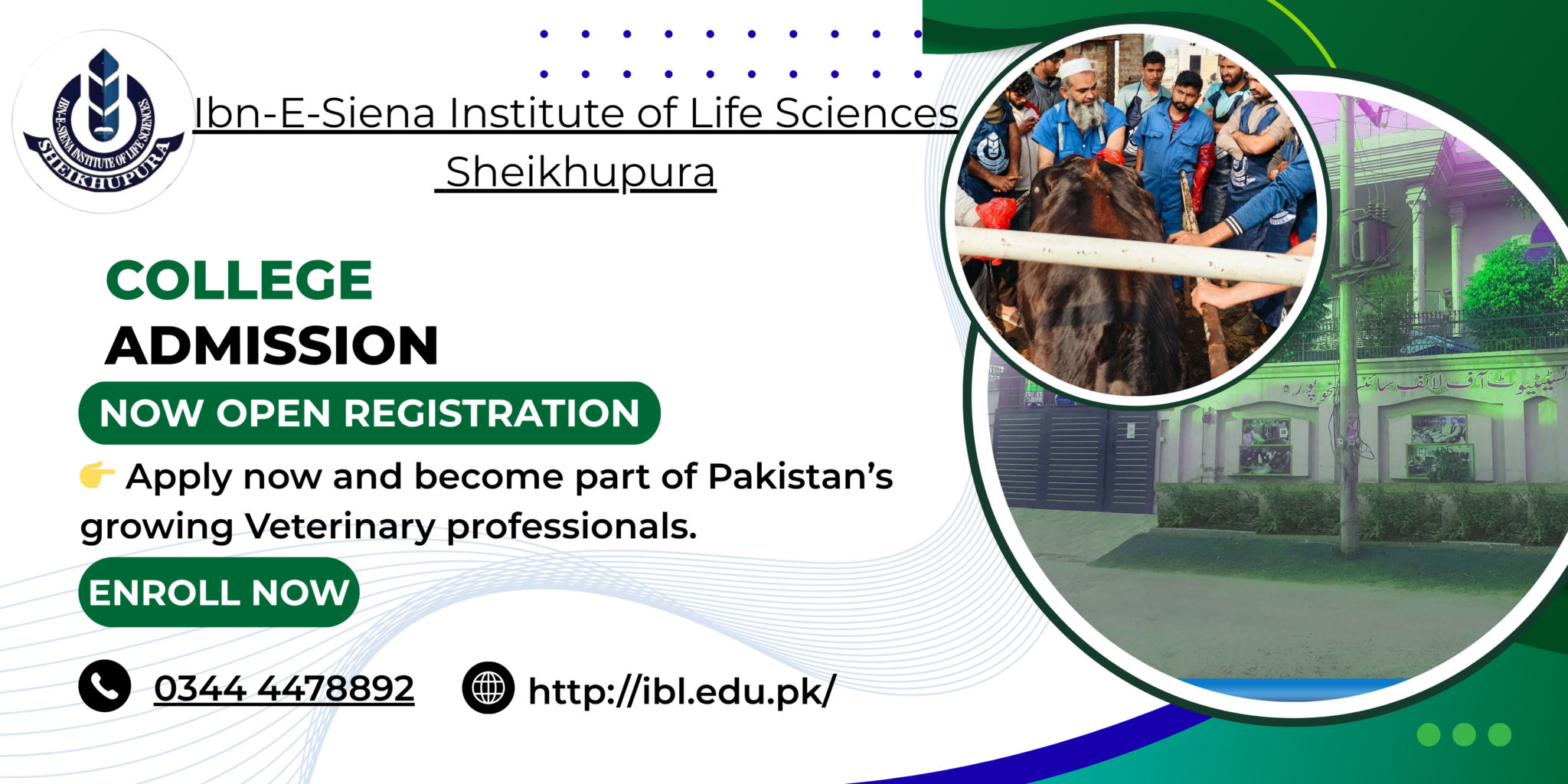 Veterinary courses admission Pakistan